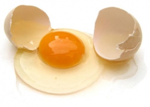 产蛋异常，如何防治？