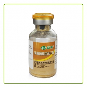 乳酸菌真空冻干粉