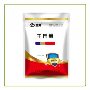 广西千斤蛋