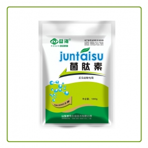 河南菌肽素反刍专用