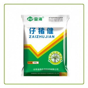 河南仔猪健