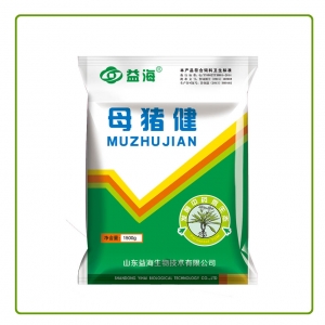 河南母猪健