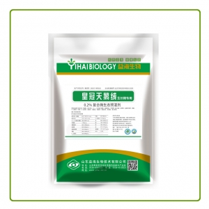 河南皇冠天鹅绒生长期专用