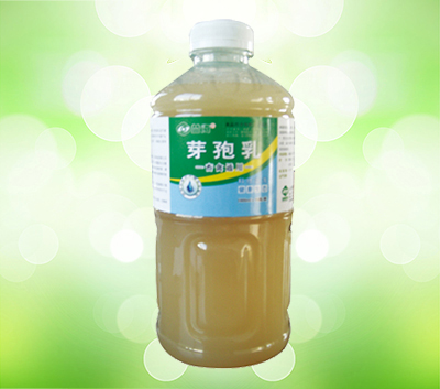 芽孢乳畜禽通用