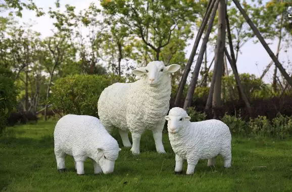 秋季羊应注射的疫苗