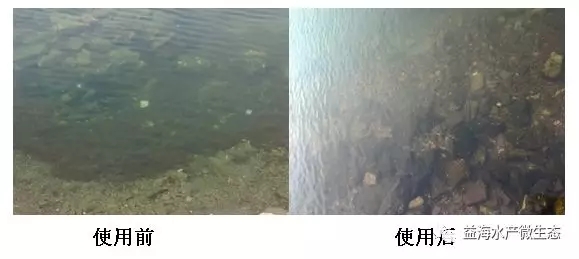 处理参圈烂草等有机质的首选----“底舒安”