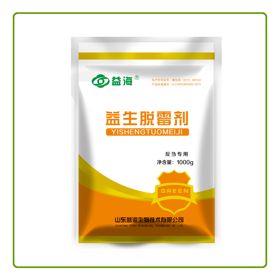 活力菌团-.jpg