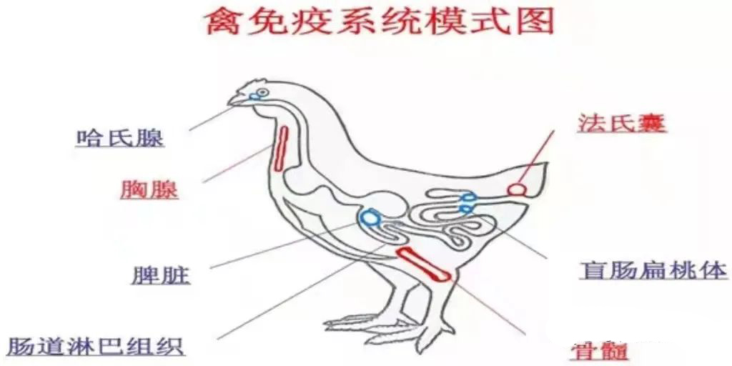 微信图片_20211216143856.jpg