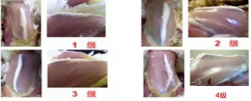 微信图片_20211216144100.jpg