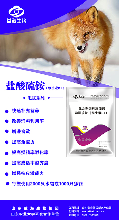 孤必克.jpg