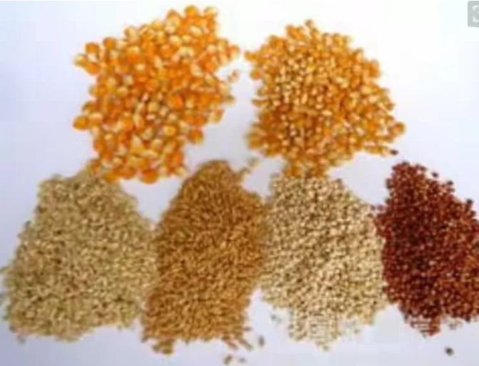 1761014114489155.jpg 微信图片_20251021102305_135_46.jpg